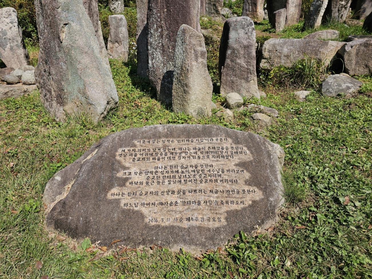 1729342503485-2.jpg