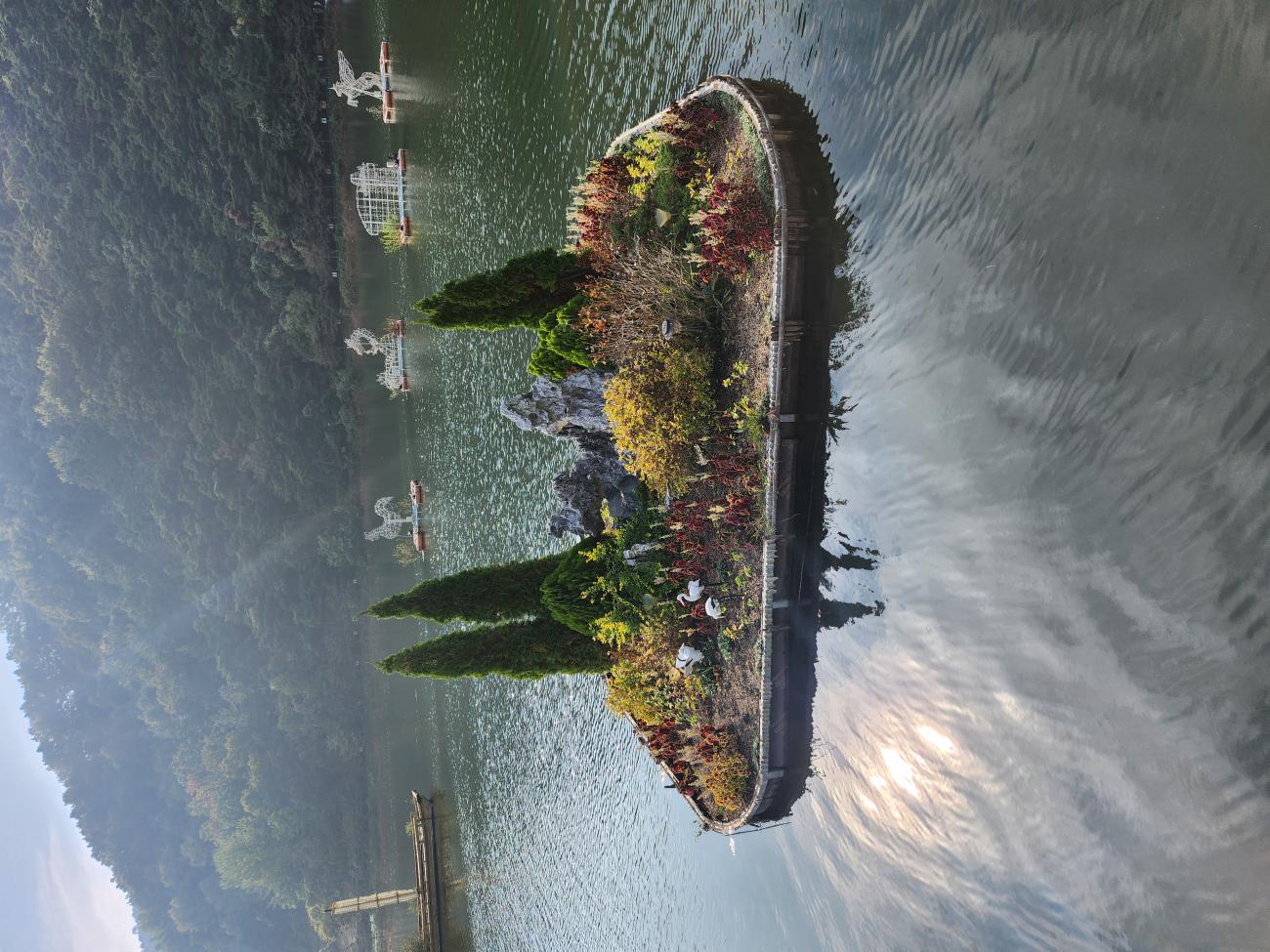 1730544047848-21.jpg
