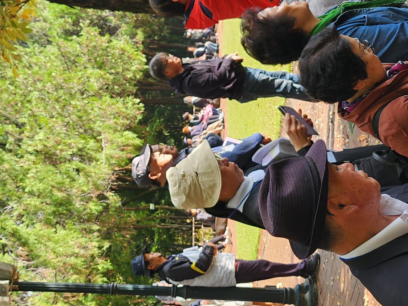1730544063364-8.jpg